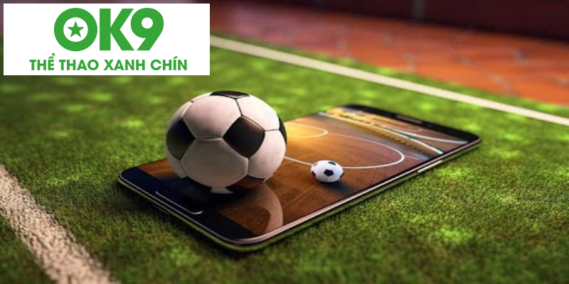 Mọi người cần theo sát diễn biến của trận đấu Mọi người cần theo sát diễn biến của trận đấu