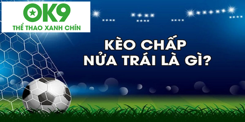 Kèo Chấp 0.5 là tỷ lệ handicap đang rất được yêu thích Kèo Chấp 0.5 là tỷ lệ handicap đang rất được yêu thích