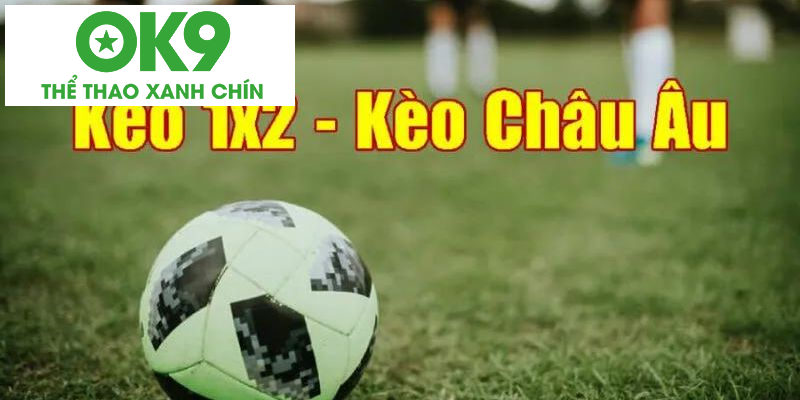 Tính tiền khi chơi kèo lựa cực đơn giản Tính tiền khi chơi kèo lựa cực đơn giản