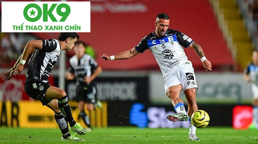 Logo đội bóng Necaxa